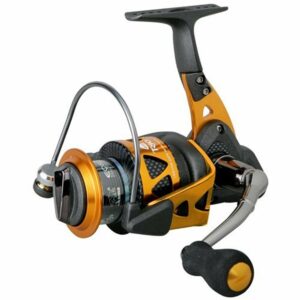 Spinning Reel