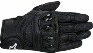 Alpine Celer Glove