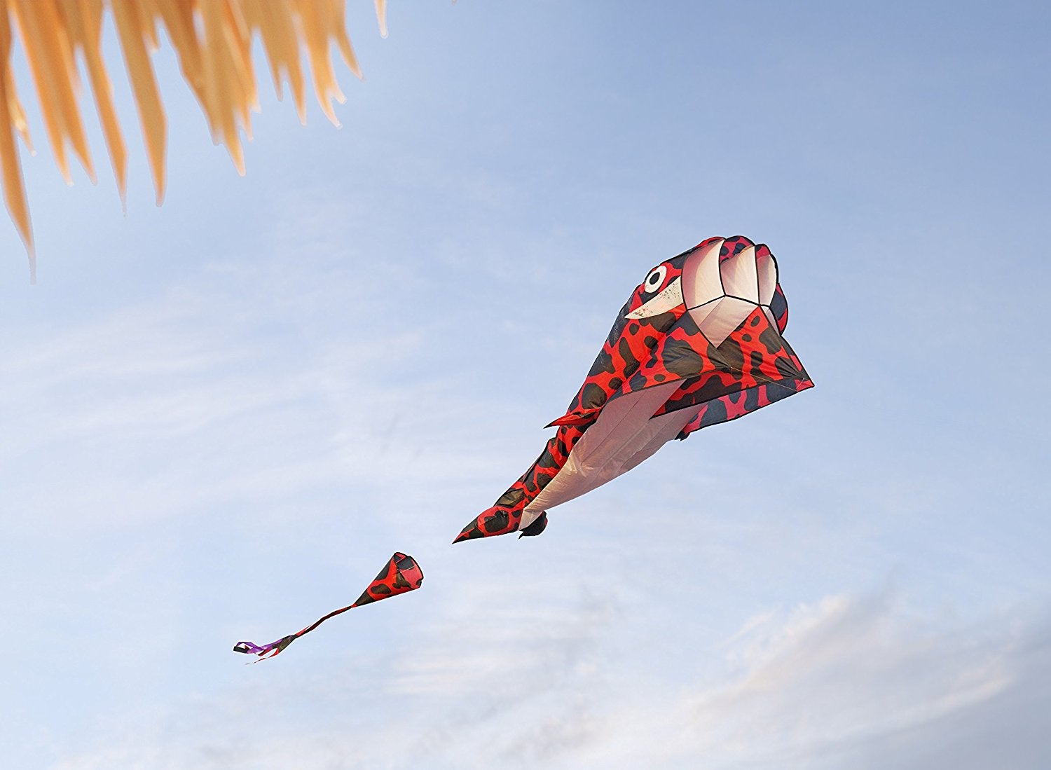 Best in Flight: Here Are the 10 Coolest Kites on  • 10.10Deal